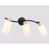 Настенные светильники Ambrella TR8722 TR