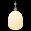 Подвесные светильники Loft It 10365/F Family
