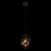 Подвесные светильники Loft It 10427 Smoke Bubble