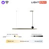 Подвесные светильники Lightera LE111L-118GB WIFI COPPER Manitoba