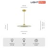 Подвесные светильники Lightera LE127L-40G Tekapo