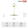 Подвесные светильники Lightera LE127L-50G Tekapo