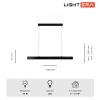 Подвесные светильники Lightera LE112L-100B WIFI Baffin