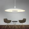 Подвесные светильники Lightera LE123L-40W Thale