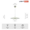 Подвесные светильники Lightera LE123L-40W Thale