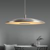 Подвесные светильники Lightera LE123L-50C Thale