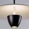 Подвесные светильники Lightera LE128L-40B Pichola