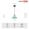 Подвесные светильники Lightera LE148L-13GR Rosario