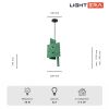 Подвесные светильники Lightera LE152L-17GR Tigris