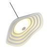 Подвесные светильники ST Luce SL6208.701.12 OASIS