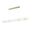 Подвесные светильники ST Luce SL6245.223.01 FAGY