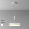 Потолочные светильники Maytoni C032CL-45W2.7K-RD-W Zon