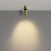 Точечные светильники Maytoni C055CL-L12W2.7K-W-BS FOCUS LED