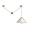 Подвесные светильники Freya FR5554CL-01T Umbra