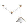 Подвесные светильники Freya FR5554CL-01T Umbra