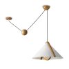 Подвесные светильники Freya FR5554CL-01T Umbra
