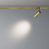 Трековое освещение Maytoni TR144-1-5W4K-W-BS FOCUS LED