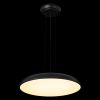 Подвесные светильники Loft It 10371P Black Dime