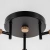 Люстры Citilux CL133131 TIKA