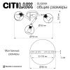 Люстры Citilux CL133131 TIKA