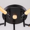 Люстры Citilux CL133151 TIKA