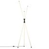 Торшеры Citilux CL217961 LUCIA