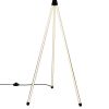 Торшеры Citilux CL217961 LUCIA