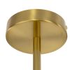 Люстры Citilux CL242193 RONNY