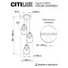 Подвесные светильники Citilux CL420033 Garuda