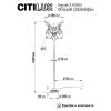 Торшеры Citilux CL420933 Garuda
