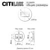 Настенные светильники Citilux CLD007R1 Скалли