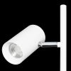 Торшеры Citilux CL809010N Twin
