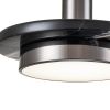 Подвесные светильники Escada 10260/1LED Black marble