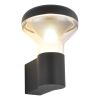 SL9541.701.01 Светильник настенный ST-Luce темно-серый/прозрачный LED 1*6W 3000K