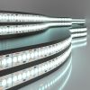 Светодиодная лента 24 В 24 Вт/м 240 Led/м 2835 IP20, холодный белый 6500K, 5 м Лента светодиодная 24V 24W 240Led 2835 IP20 холодный белый, 5м
