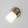 Настенный светильник с поворотным плафоном 20089/1 бронза