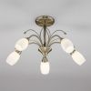 Потолочная люстра со стеклянными плафонами 30280/5