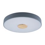 Потолочные светильники Loft It 10003/24 Grey Axel