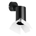 Комплектующие Lightstar RB437436 Rullo