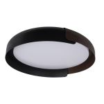 Потолочные светильники Loft It 10198 Black Coin