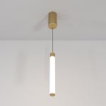 Подвесные светильники Maytoni P022PL-L10MG3K Ray