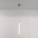 Подвесные светильники Maytoni P022PL-L20G3K Ray
