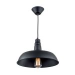Подвесные светильники Citilux CL450204 Эдисон