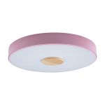 Потолочные светильники Loft It 10003/24 Pink Axel