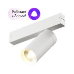 Трековое освещение Denkirs DK8020-WH Smart