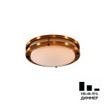 Потолочные светильники Citilux CL709203N Бостон