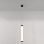 Подвесные светильники Maytoni P022PL-L20B3K Ray