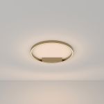 Потолочные светильники Maytoni MOD058CL-L35BS3K Rim