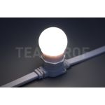Лампа для Белт-лайта Teamprof Е27, 2 Вт TPF-B-E27-G45-2W-W