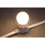 Лампа для Белт-лайта Teamprof Е27, 24В, 2 Вт TPF-B-E27-G45-24V-2W-WW